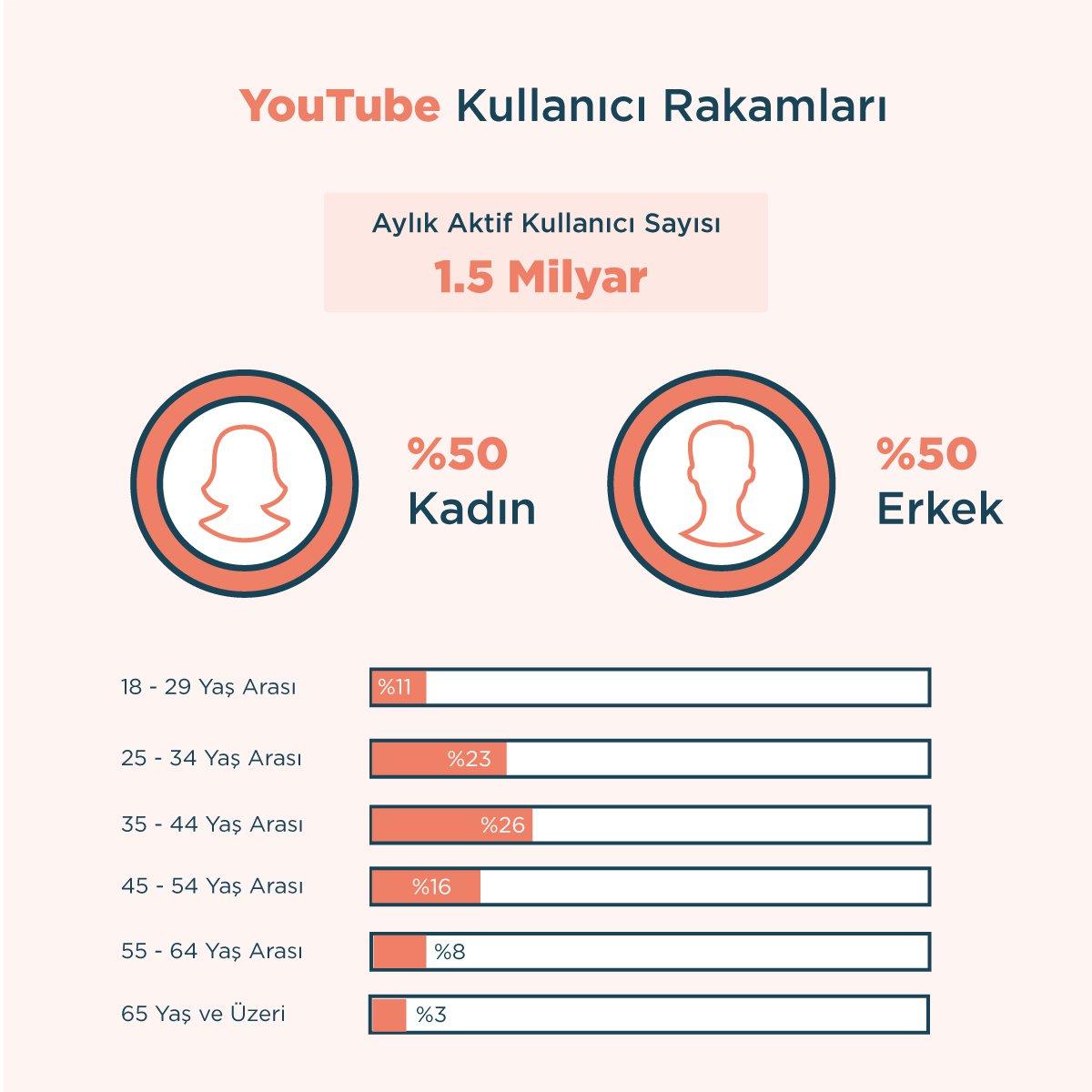 Sosyal Medya Platformlarının Demografik Profilleri ve Kullanım Alışkanlıkları